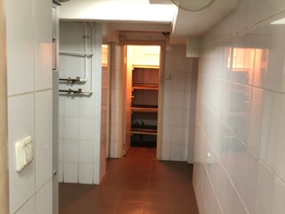 Производственное, 53 м², -1 этаж
