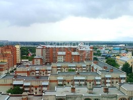 Продается 2-комнатная квартира Ельцовская ул, 39.2  м², 6900000 рублей