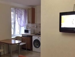 Снять однокомнатную квартиру Карла Маркса проспект, 27  м&sup2;, 2700 рублей