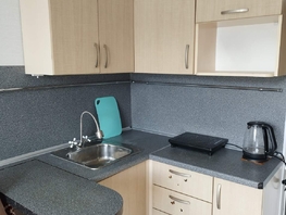 Снять однокомнатную квартиру Успенского пер, 15.4  м², 14700 рублей