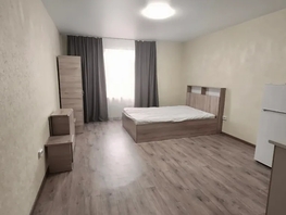 Снять однокомнатную квартиру Кузнецкий пер, 25  м&sup2;, 2500 рублей