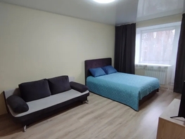 Снять однокомнатную квартиру Пирогова ул, 29  м&sup2;, 2650 рублей