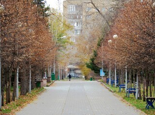 В Красноярске готовятся к благоустройству парков и скверов