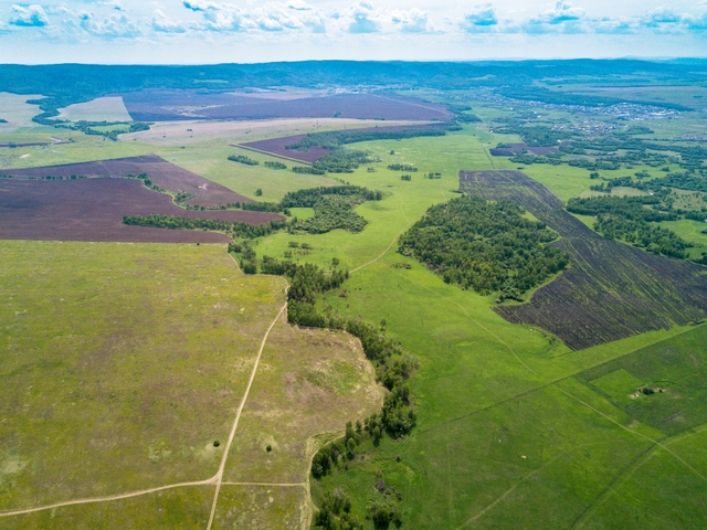 В пригороде Красноярска выставят на торги землю для строительства частных домов