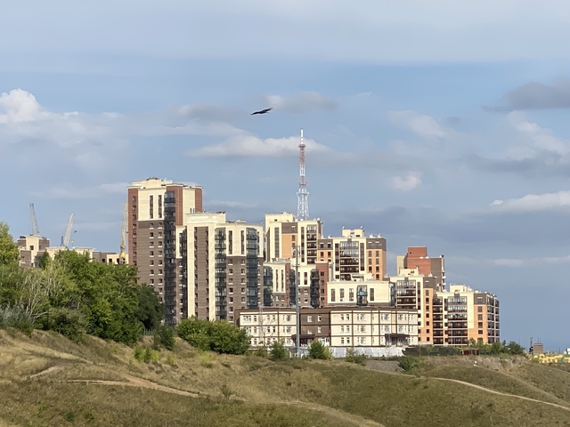 Застройщиков обяжут регистрировать квартиры на дольщиков 